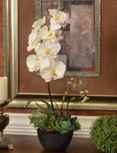 Orchid and Succulent Silk Floral Design 0159