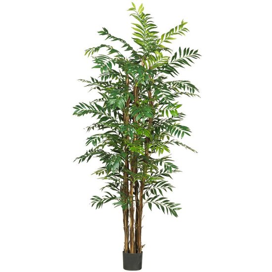 (image for) 7' Bamboo Palm Silk Tree # NN5250 TEXT_CLOSE_WINDOW