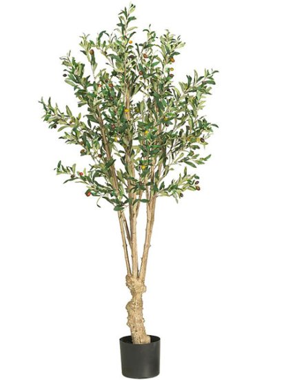 (image for) 5' Olive Silk Tree # NN5258 TEXT_CLOSE_WINDOW