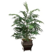 3' Bamboo Palm in Metal ContainerTR-WP7069