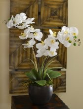 White Silk Orchid Design in Black Bowl O146