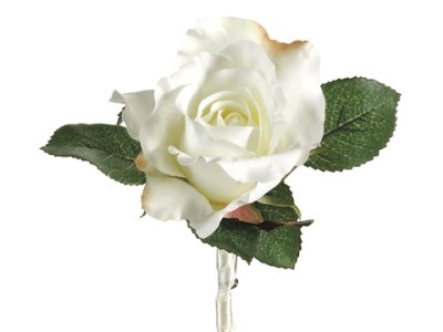 (image for) White Single Rose Boutonniere