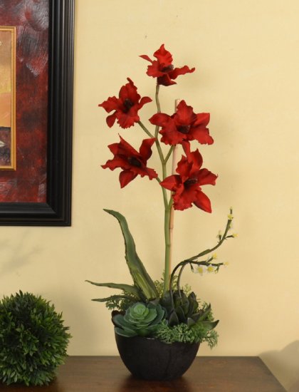 (image for) Red Orchid with Succulents in Black Vase 0153 TEXT_CLOSE_WINDOW