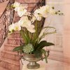 (image for) White Orchids with Succulents in Silver Pedestal Vase AR515