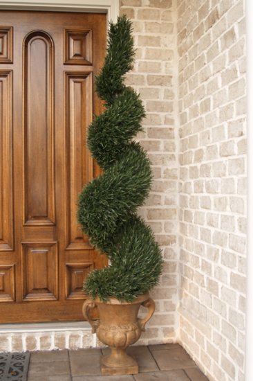 (image for) 5 Ft. Rosemary Spiral Topiary TreeTP4RS-150 TEXT_CLOSE_WINDOW