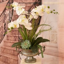 (image for) White Orchids with Succulents in Silver Pedestal Vase AR515