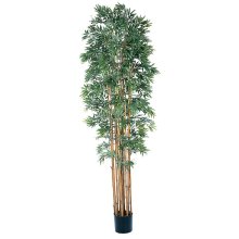 6' Bamboo Japonica Silk Tree # NN5045