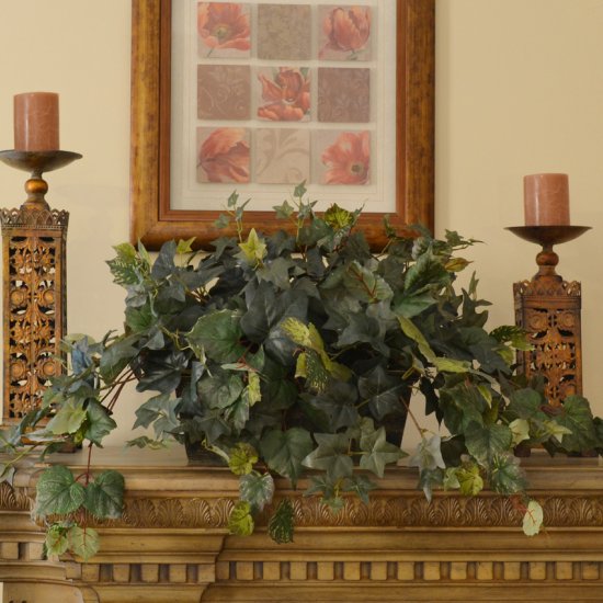 (image for) English Ivy Ledge Planter GR182 TEXT_CLOSE_WINDOW