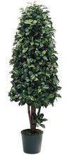 5' Ficus Cone - Silk Topiary Tree TP-15307