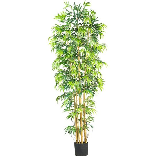 (image for) 7' Multi Bambusa Bamboo Silk Tree # NN5215 TEXT_CLOSE_WINDOW