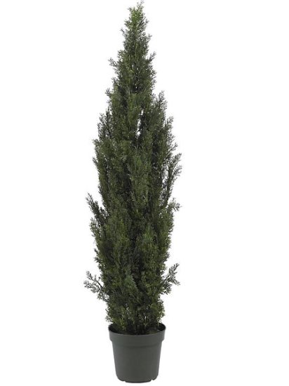6' Mini Cedar Pine Tree (Indoor/Outdoor) # NN5292 - Click Image to Close