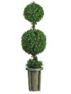 5' Double Ball Leucodendron Topiary w/Decorative Vase # NN5221