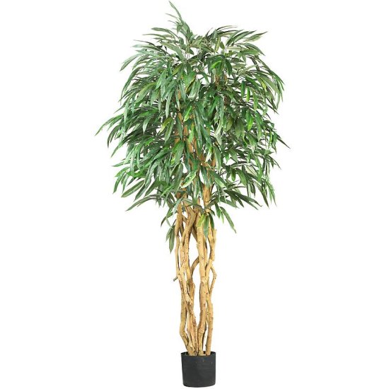 (image for) 6' Weeping Ficus Silk Tree # NN5213 TEXT_CLOSE_WINDOW