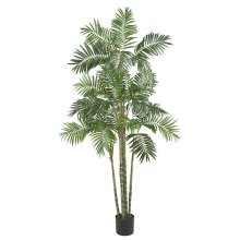 6' Areca Palm Silk Tree # NN5337