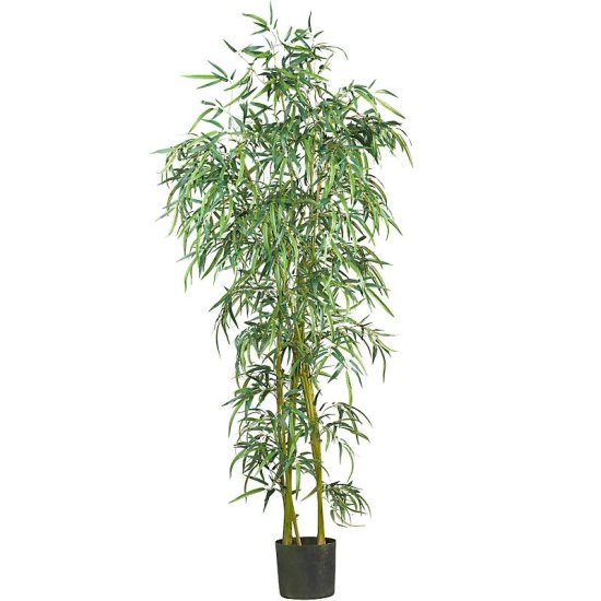 (image for) 6' Fancy Style Slim Bamboo Silk Tree # NN5193 TEXT_CLOSE_WINDOW
