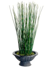 Horse Tail Grass Silk Plant and Greenery GRWP7532