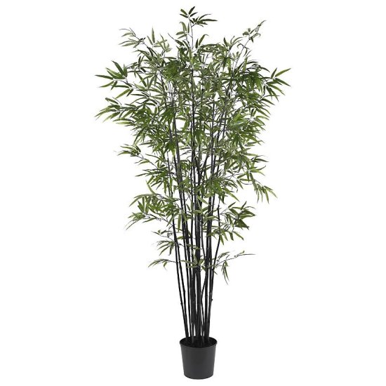 (image for) 6.5' Black Bamboo Silk Tree # NN5277 TEXT_CLOSE_WINDOW