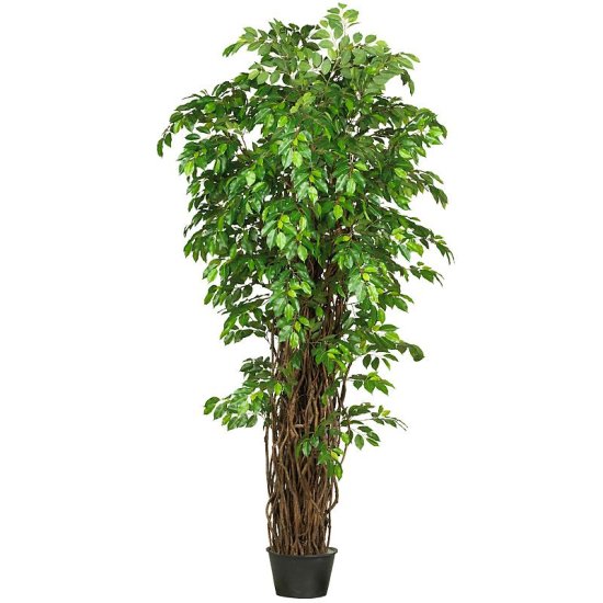 (image for) 7' Deluxe Ficus Silk Tree # NN5240 TEXT_CLOSE_WINDOW