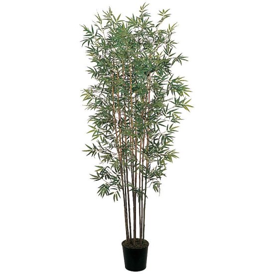 (image for) 6' Mini Bamboo Silk Tree # NN5022 TEXT_CLOSE_WINDOW
