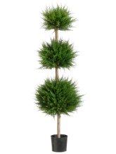 (image for) 4' Canadian Cypress Triple Ball Topiary - 2 ea. TP-LPC214