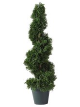 (image for) 2' Cedar Spiral Silk Tree (In-door/Out-door)