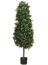 (image for) 5' Sweet Bay Pyramid Silk Tree # NN5243