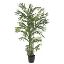 (image for) 5' Areca Silk Palm Tree # NN5274