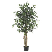 (image for) 4' Ficus Silk Tree # NN5299