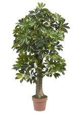 (image for) 4’ Schefflera Silk Tree (Real Touch) # NN5305