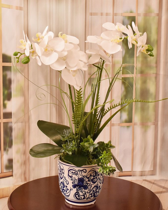 (image for) White Orchids in Blue and White Vase O168 TEXT_CLOSE_WINDOW