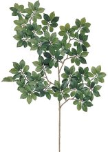 (image for) 22" BONSAI FICUS- S10812XX (2 piece min)