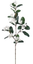 (image for) 28" STEPHANOTIS SPRAY- S15047XX (6 piece min)