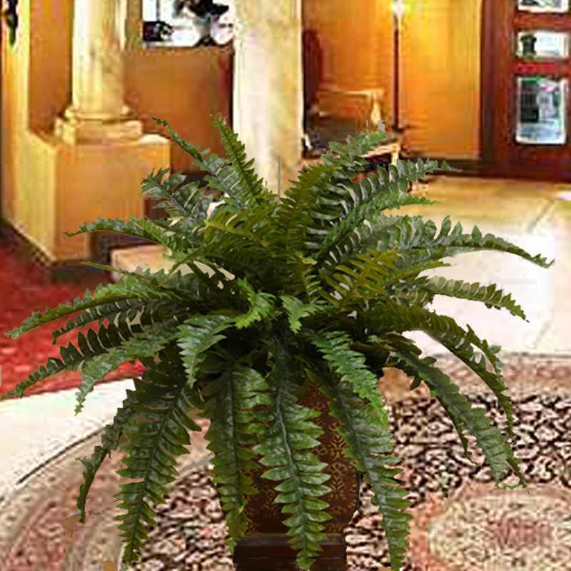 (image for) Boston Silk Fern in Metal Planter GR172 TEXT_CLOSE_WINDOW