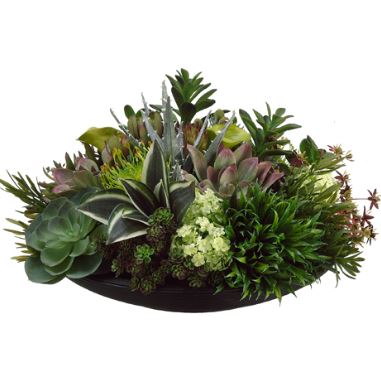 (image for) White and Green Faux Succulent Arrangement GRWF1036 TEXT_CLOSE_WINDOW