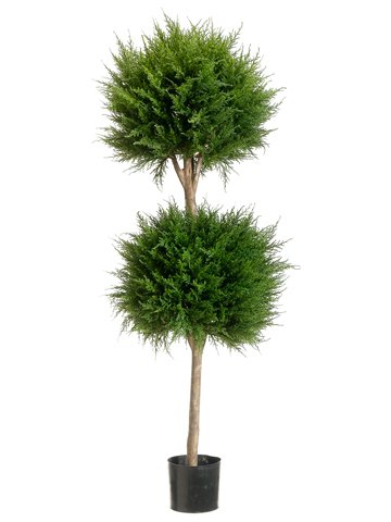 (image for) 4' Candian Cypress Double Ball Topiary TP-LPC204 TEXT_CLOSE_WINDOW