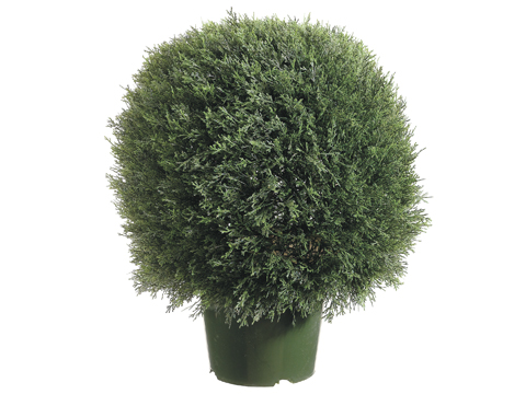 (image for) Pond Cypress Ball Topiary Tree TP392 TEXT_CLOSE_WINDOW