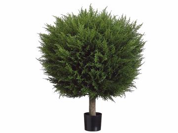 (image for) 4' Triple Ball-Shaped Boxwood Topiary Tree - 4' Boxwood Topiary TEXT_CLOSE_WINDOW