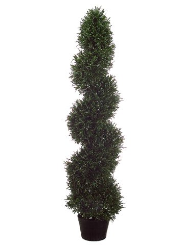 (image for) 4' Rosemary Topiary - Set of 2 -TP-LPR484 TEXT_CLOSE_WINDOW