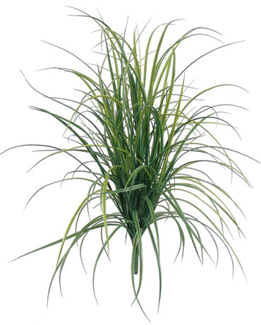 (image for) 33" LONG SLIM GRASS BUSH- S14594GR (6 piece min) TEXT_CLOSE_WINDOW