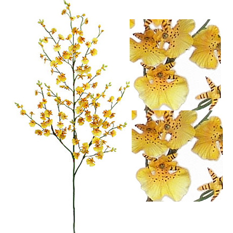 (image for) DANCING ORCHID- S2645 (12 piece min) TEXT_CLOSE_WINDOW