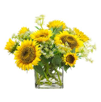 (image for) Sunflowers, Queen Anne's Lace In Glass Vase ARWF1442 TEXT_CLOSE_WINDOW