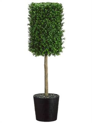 53" Boxwood Topiary in Black Bamboo Planter